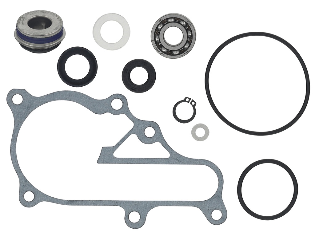 Set de Reparación Bomba de Agua Bronco