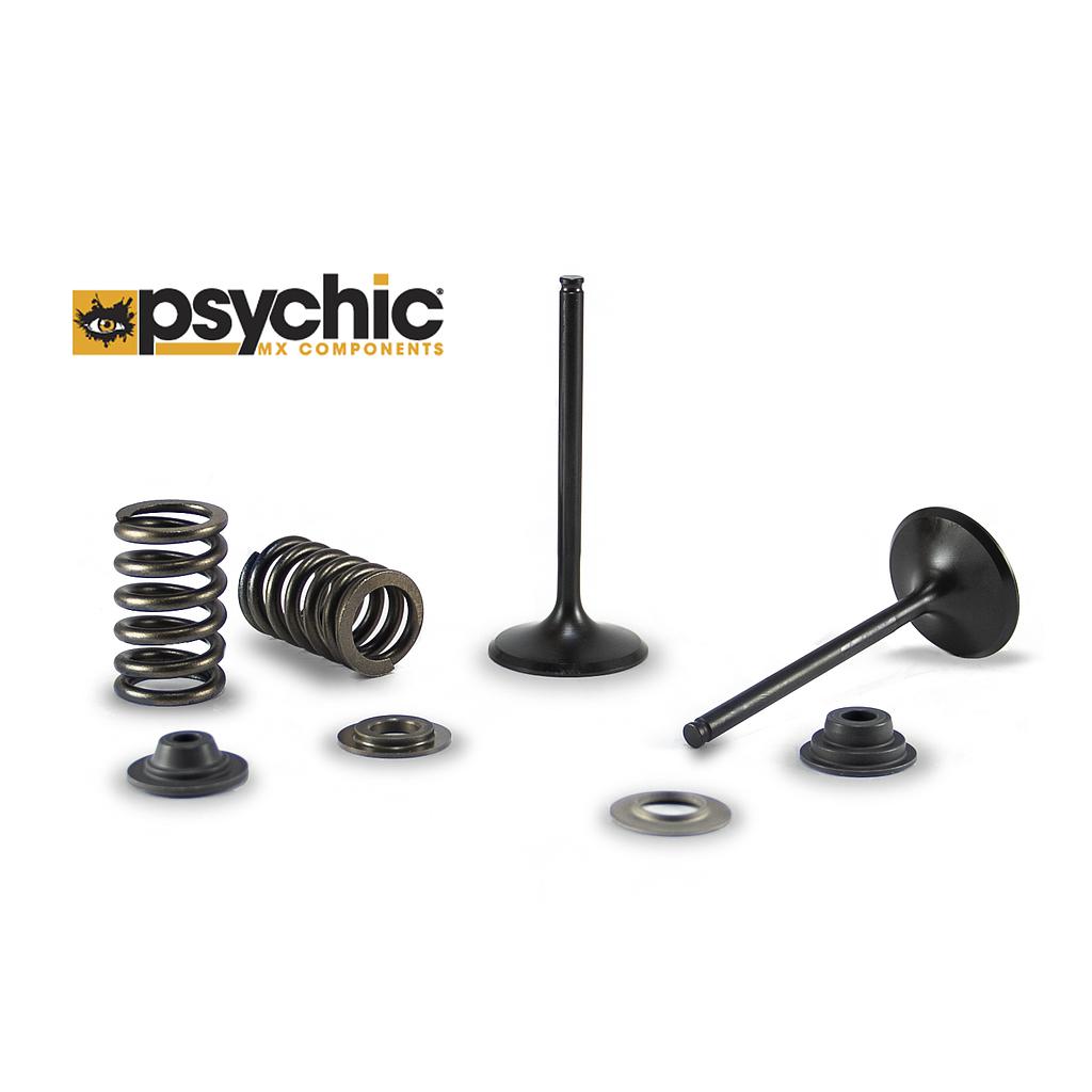 Válvulas de Escape, Resortes y Chapas Psychic *Promoción*