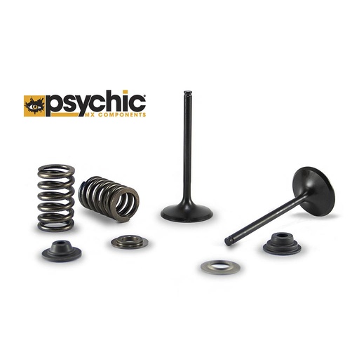 [XU-09553IK] Válvulas de Admisión, Resortes y Chapas Psychic *Promoción*