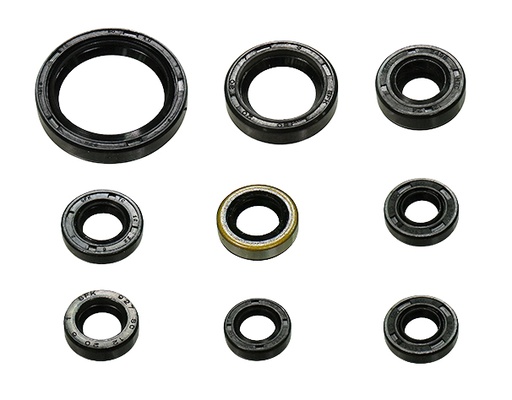 [NX-09379] Set de Retenedores Namura
