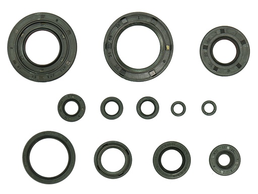 [NX-09220] Set de Retenedores Namura
