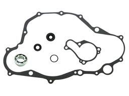 [MX-10229] Set de Reparación Bomba de Agua Psychic *Promoción*